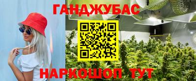 гидропоника Будённовск