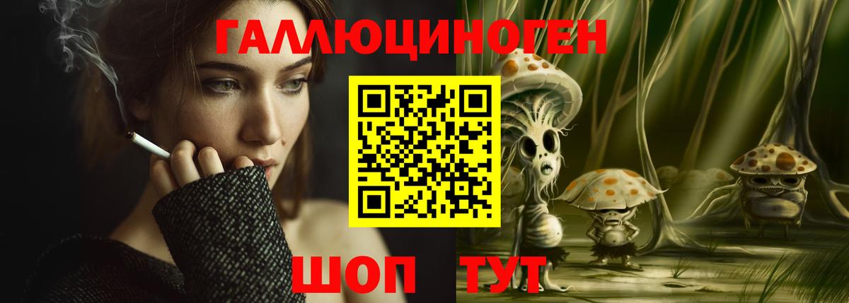 Лесной  Галлюциногенные грибы прущие грибы  Вход с VPN 